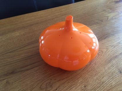 knoffie of knoflookbus ds 16