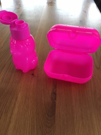 schoolset roze ds 22