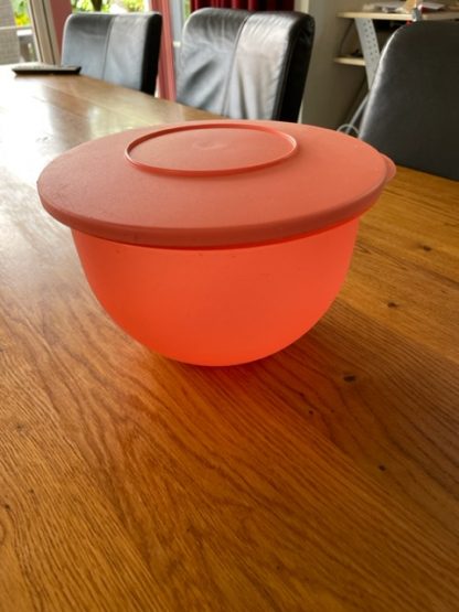 Trendy schaal 2,5 L zalm ds 28